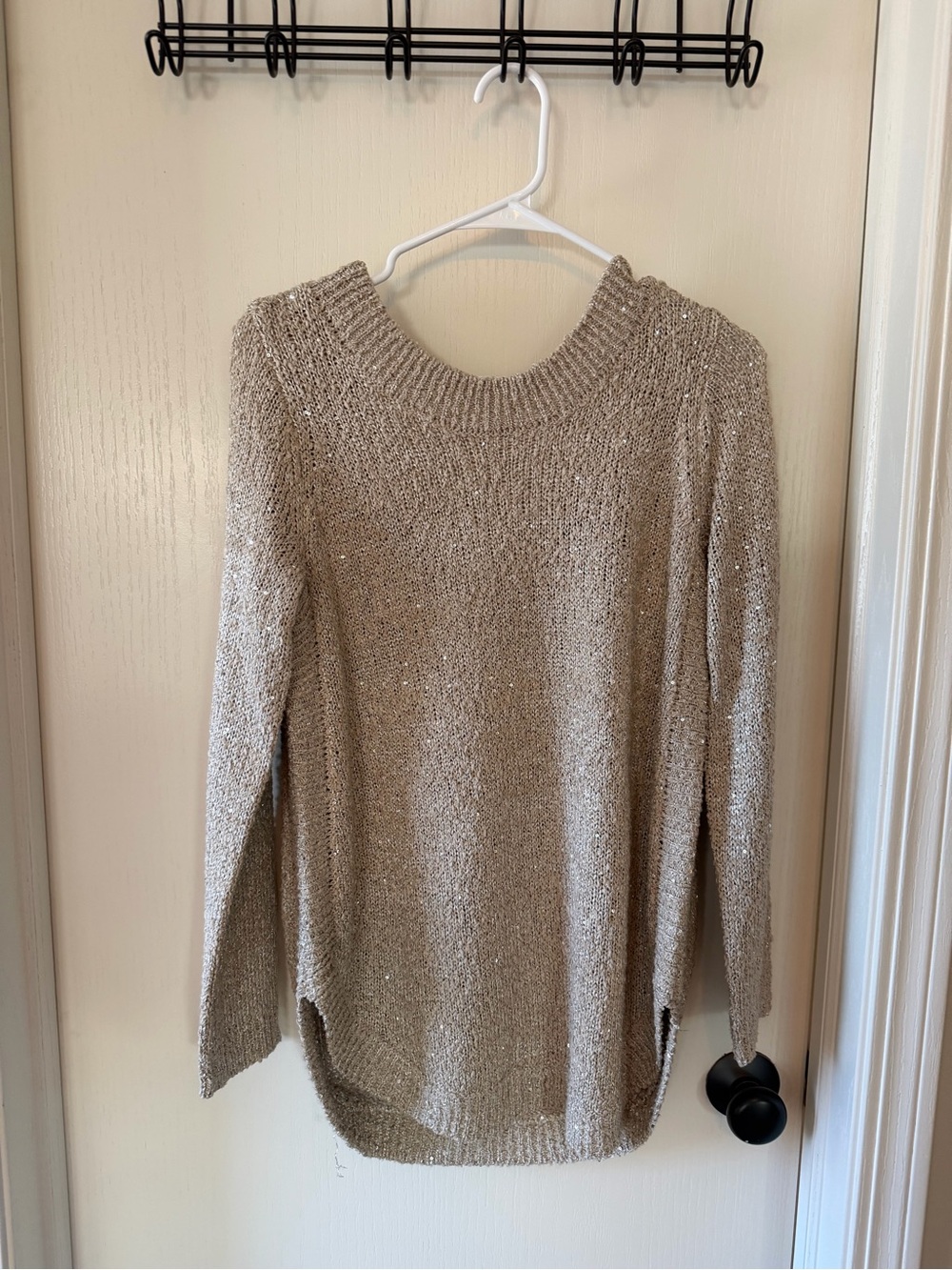 BB Dakota Shimmery Beige Scoop Neck Pullover